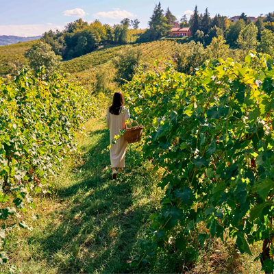 Косметика с антиоксидантами — залог молодости и красоты