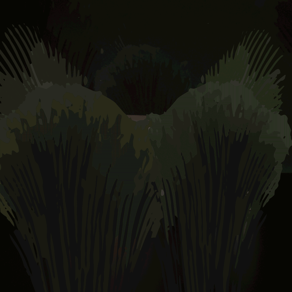 Японский сад. Осветление и естественное сияние