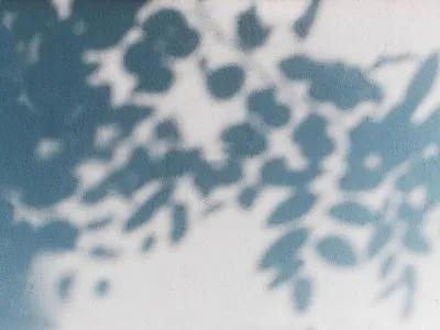 Specialist Спа ритуалы для рук и ног