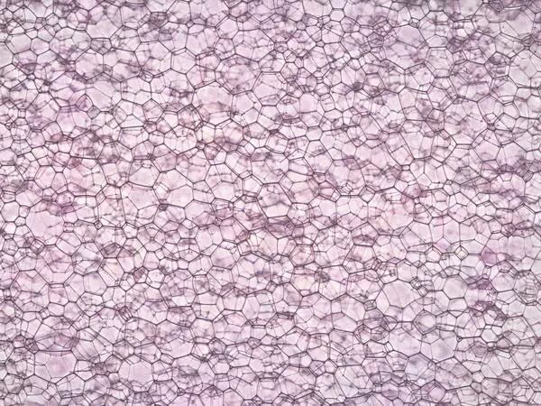 Remedy Чувствительная кожа