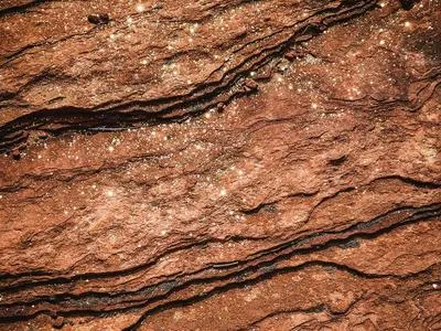 Body Strategist Стратегия прекрасного тела