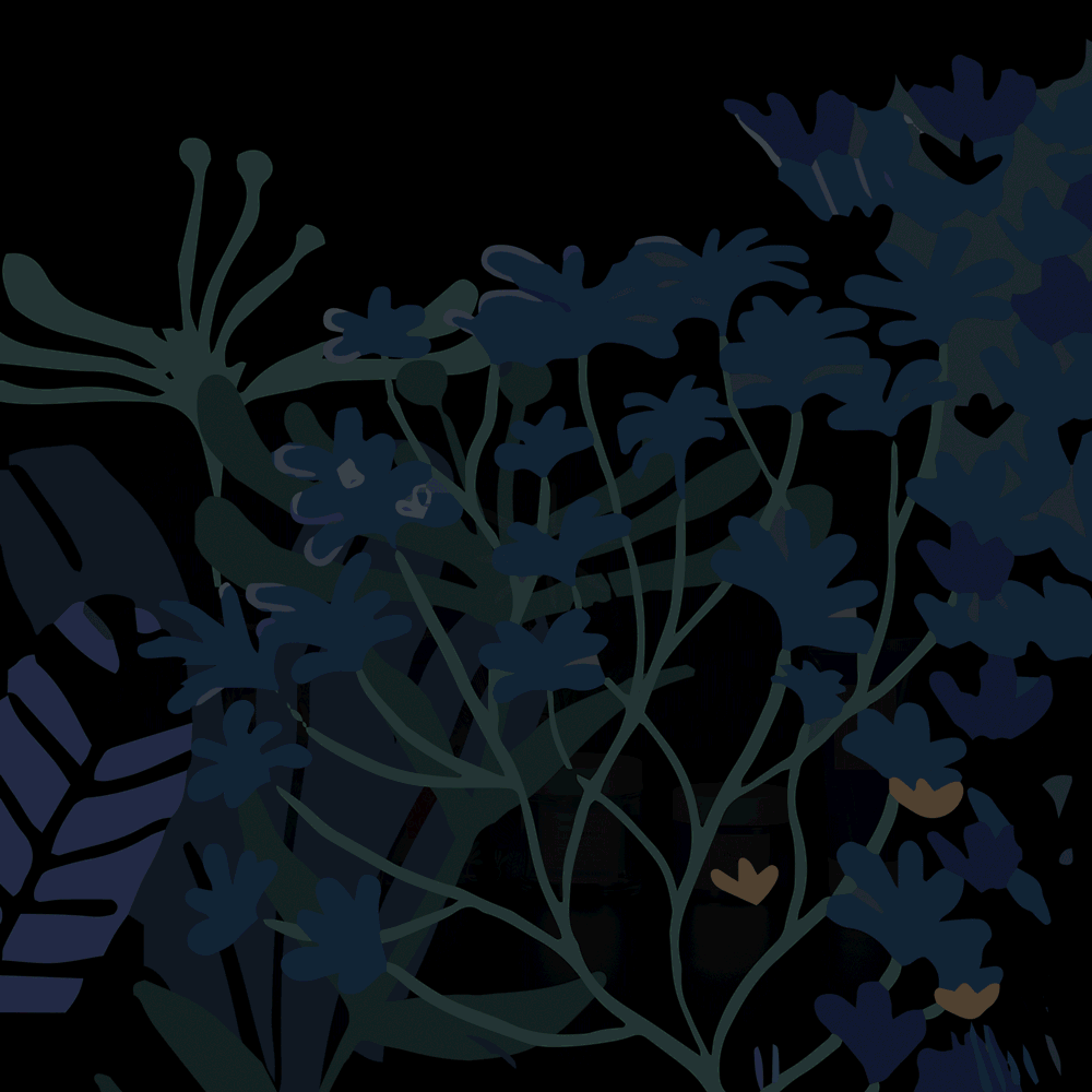 Ночной сад. Глубокое питание и восстановление