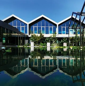 Beauty routine Skin Regimen