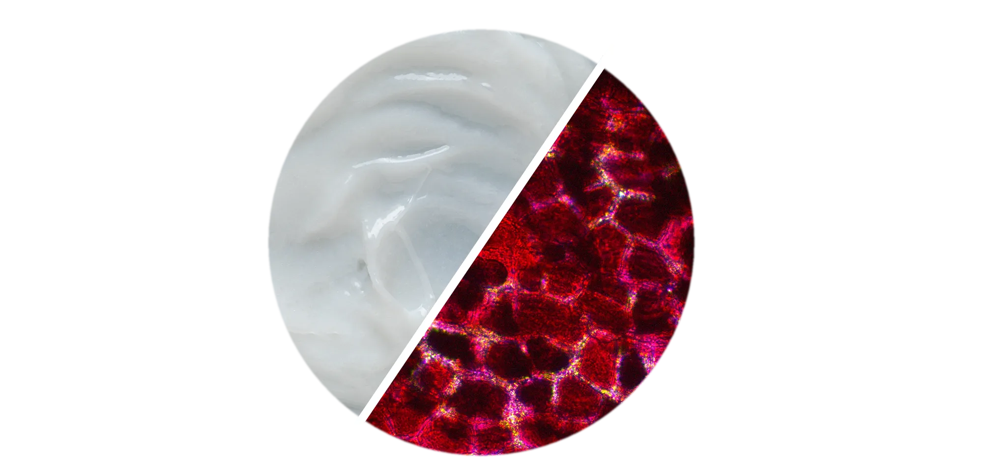 Comfort Zone: Creme senza siliconi e prodotti vegani