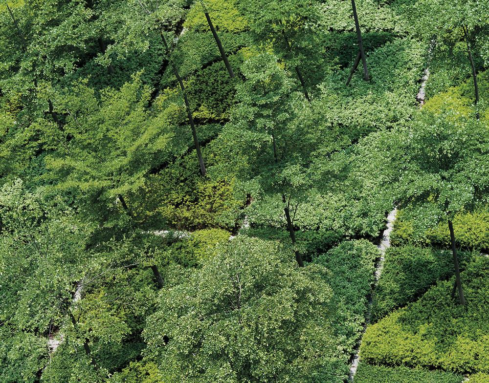 Creme viso per pelle giovane e luminosa