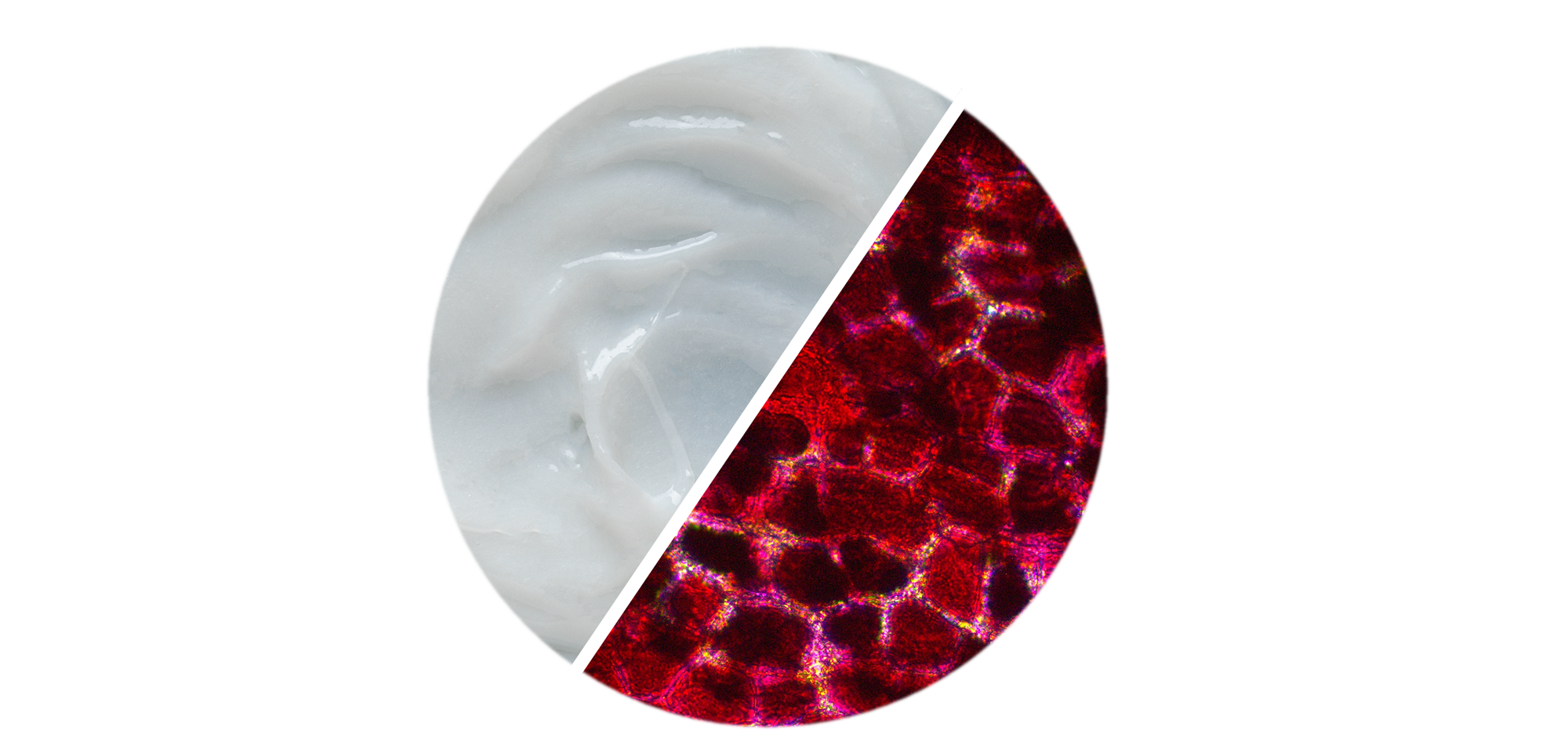 Comfort Zone: Creme senza siliconi e prodotti vegani